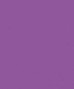 STARGAZER Halloween Plum | SEMI-PERMANENT LIP STAIN PEN -Wicked Lashes shop semi permanent lip stain pen 10 2 700x700